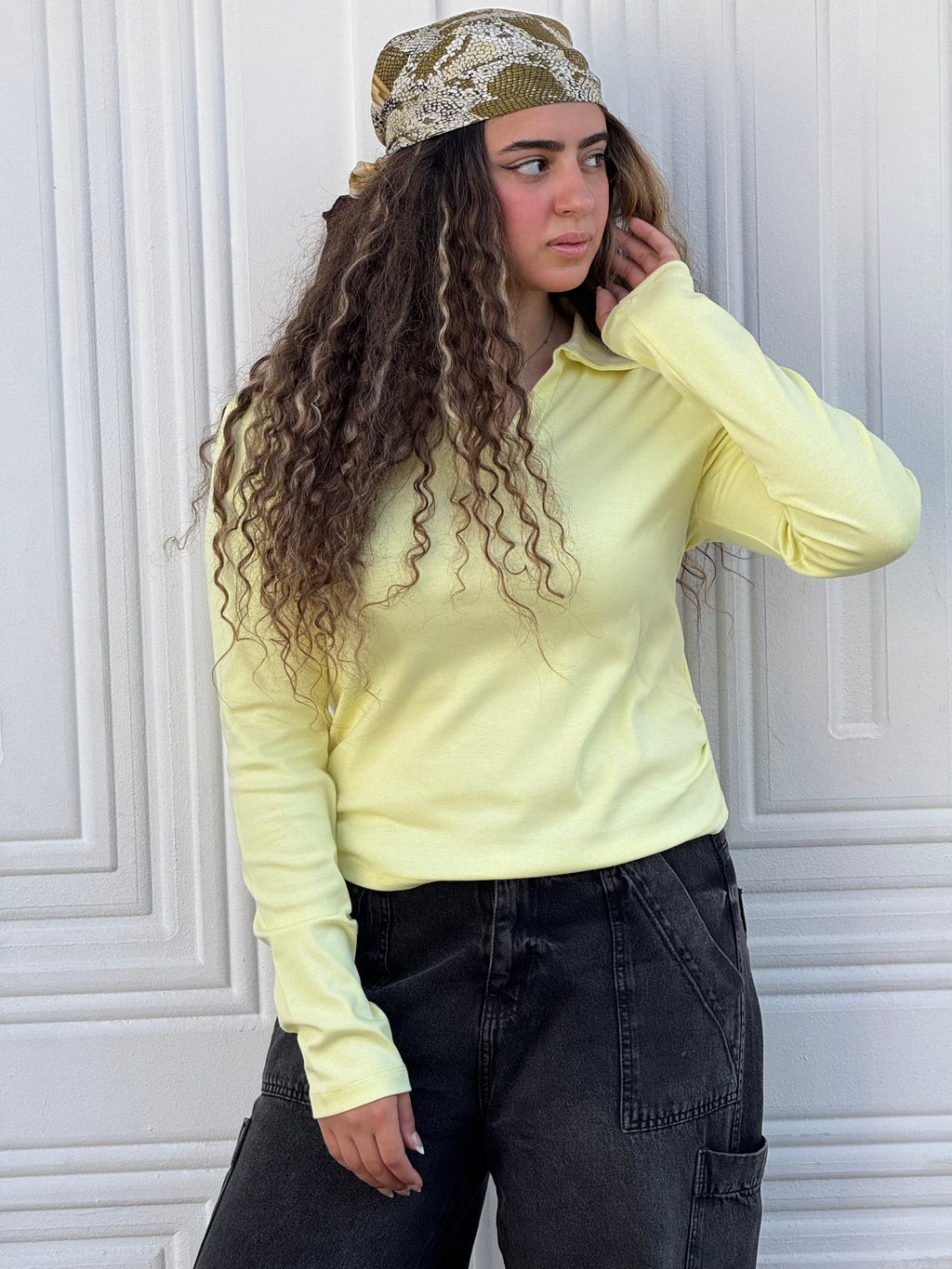 Women Top V Neck Long Sleeve